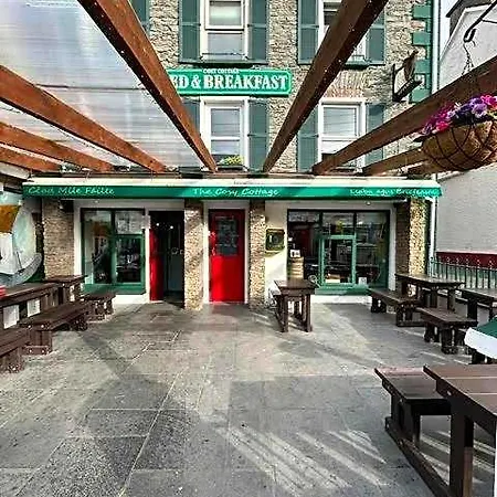 Hotel The Cosy